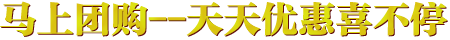 活动二
