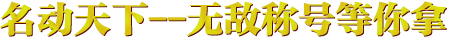 活动四